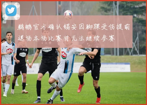 鹈鹕官方确认锡安因脚踝受伤提前退场本场比赛将无法继续参赛