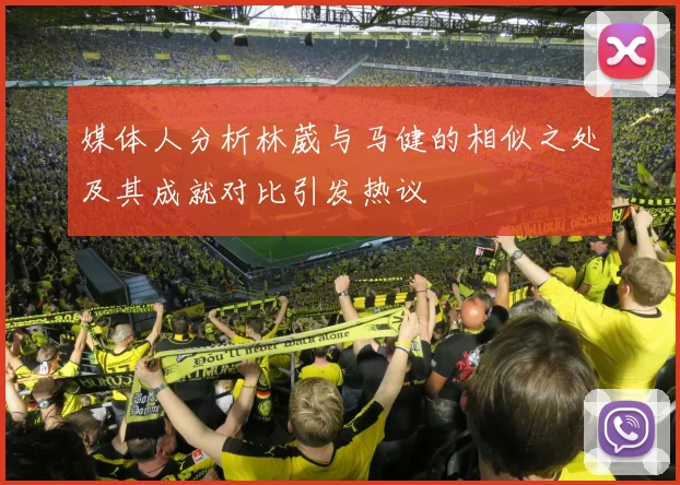 媒体人分析林葳与马健的相似之处及其成就对比引发热议