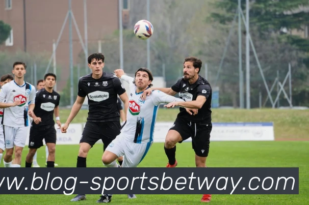 必威体育服务体系